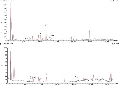 Hepatoprotective Effect of Cranberry Nutraceutical Extract in Non-alcoholic Fatty Liver Model in Rats: Impact on Insulin Resistance and Nrf-2 Expression